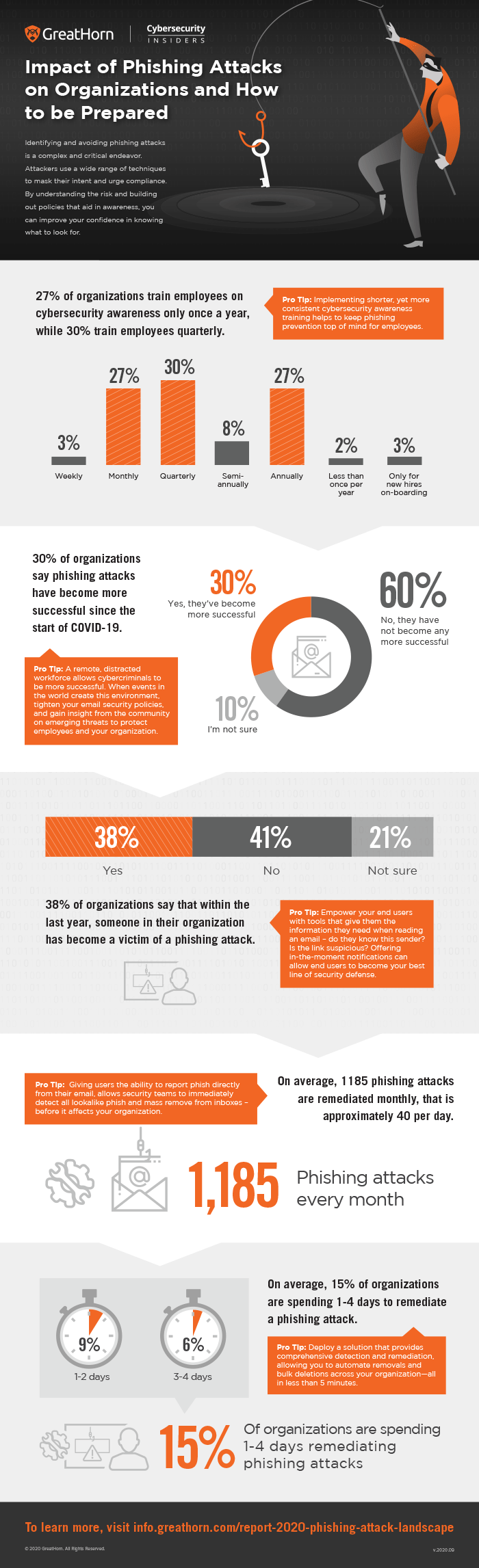 Impact of Phishing Attacks infographic