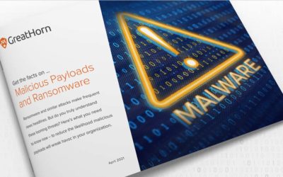 [eBook] Ransomware and Malicious Payloads: What You Need to Know