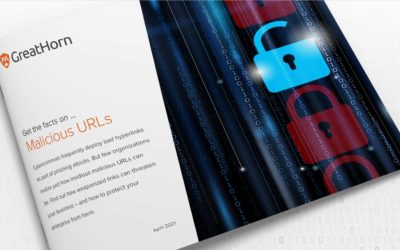 [eBook] Malicious URLs: What You Need to Know