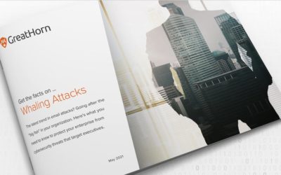 [eBook] Whaling Attacks: What to Know and How to Prevent