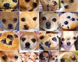 Blueberry Muffins vs Blonde Chihuahuas: Debunking Artificial Intelligence in Email Security